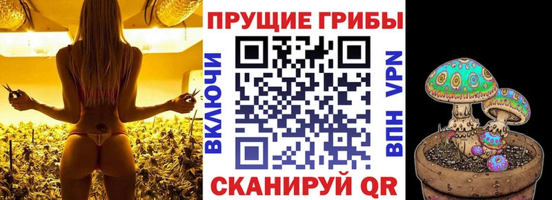 ссылка на мегу   даркнет сайт  Павлово  Псилоцибиновые грибы мицелий 